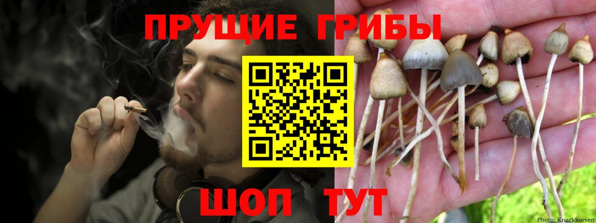 Партизанск  Галлюциногенные грибы прущие грибы  Галлюциногенные грибы MAGIC MUSHROOMS  Вход с VPN 